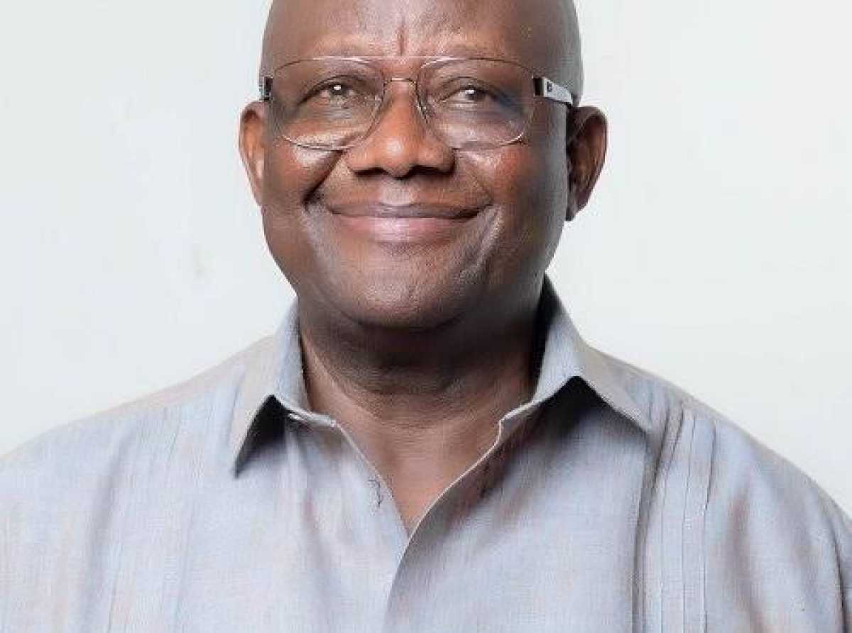 NPP has a unique opportunity to recapture power in 2028 — Afoko